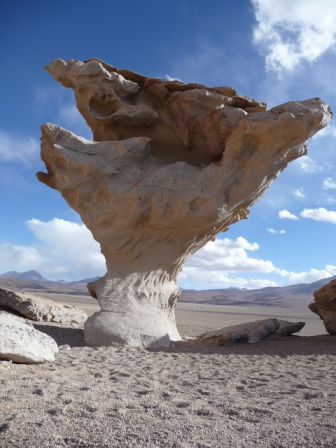 Arbre de pierre Bolivie.JPG